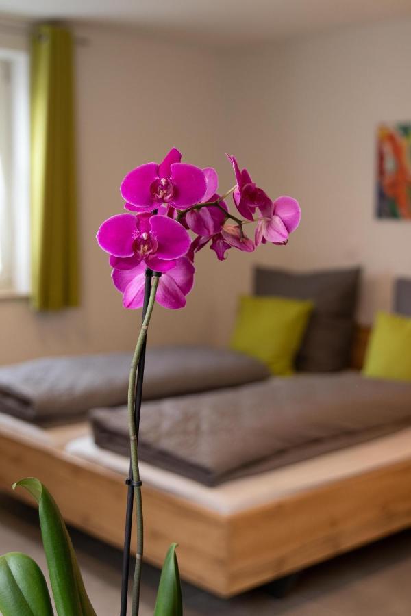 Apartment Alte Raiffeisenkasse Rothenburg Ob Der Tauber Luaran gambar